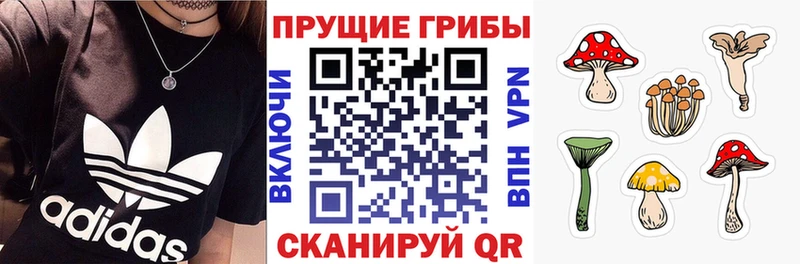 где купить   дарк нет состав  Псилоцибиновые грибы ЛСД  Кяхта 